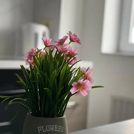 Apartment Maison D'ans Ans