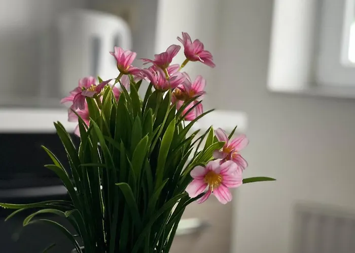 아파트 Maison D'ans Ans